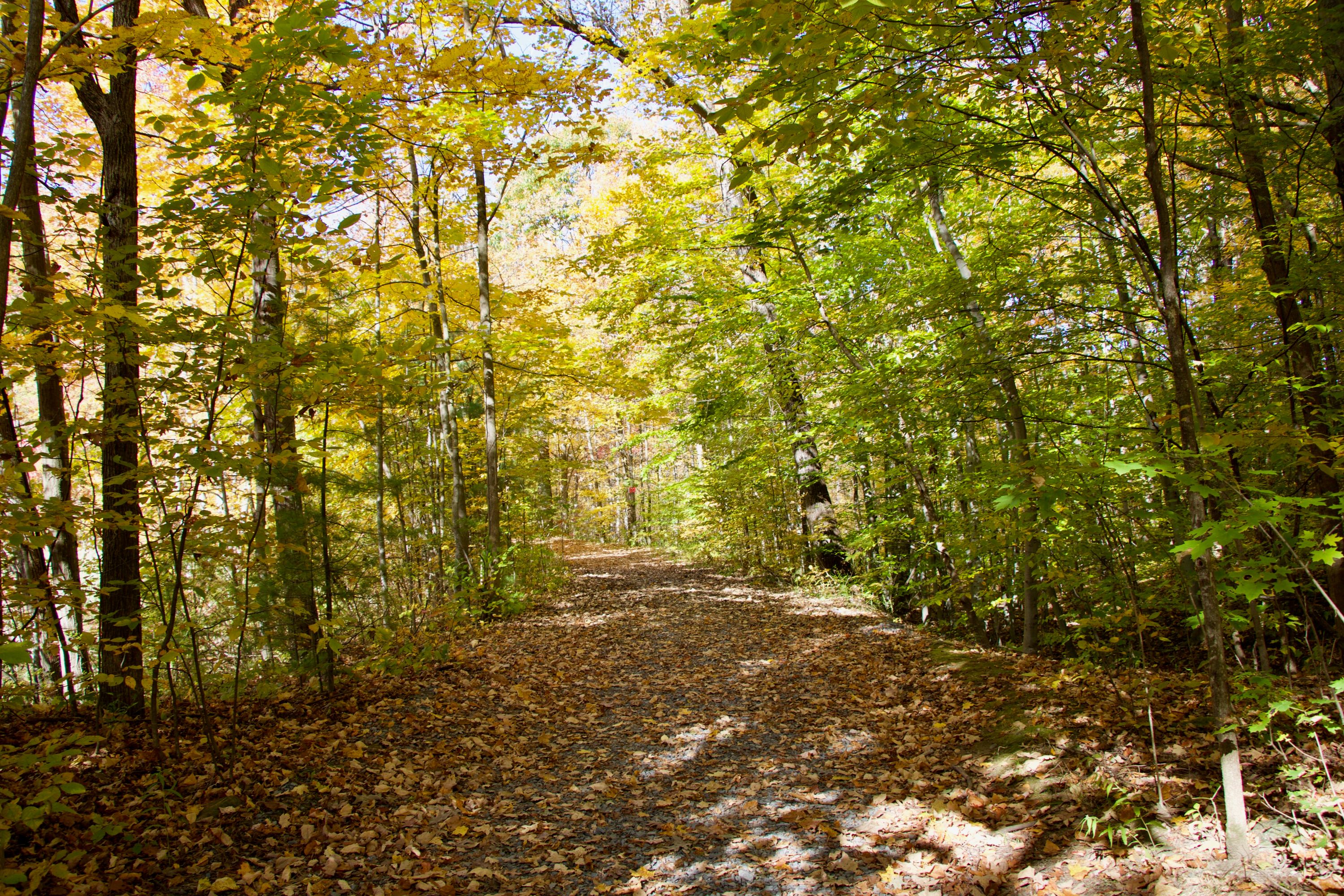 Saratoga Springs Shutterstock 1564629952